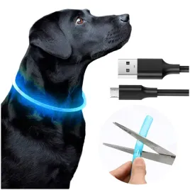 swiecaca-obroza-led-dla-psa-kota-50cm-silikonowa-usb-regulowana-wodoodporna