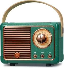 radio-przenosne-pronus-j-999-retro-fm-glosnik-bluetooth-5-0-usb-tf-aux-pro