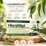 chlorofillipt-tabletki-z-eukaliptusa-40-tab-stan-nowy