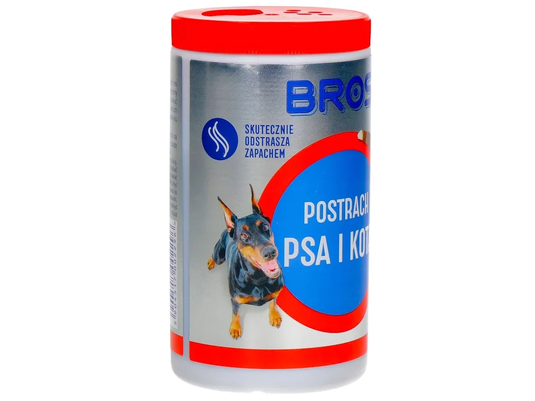 postrach-psa-i-kota-stan-nowy