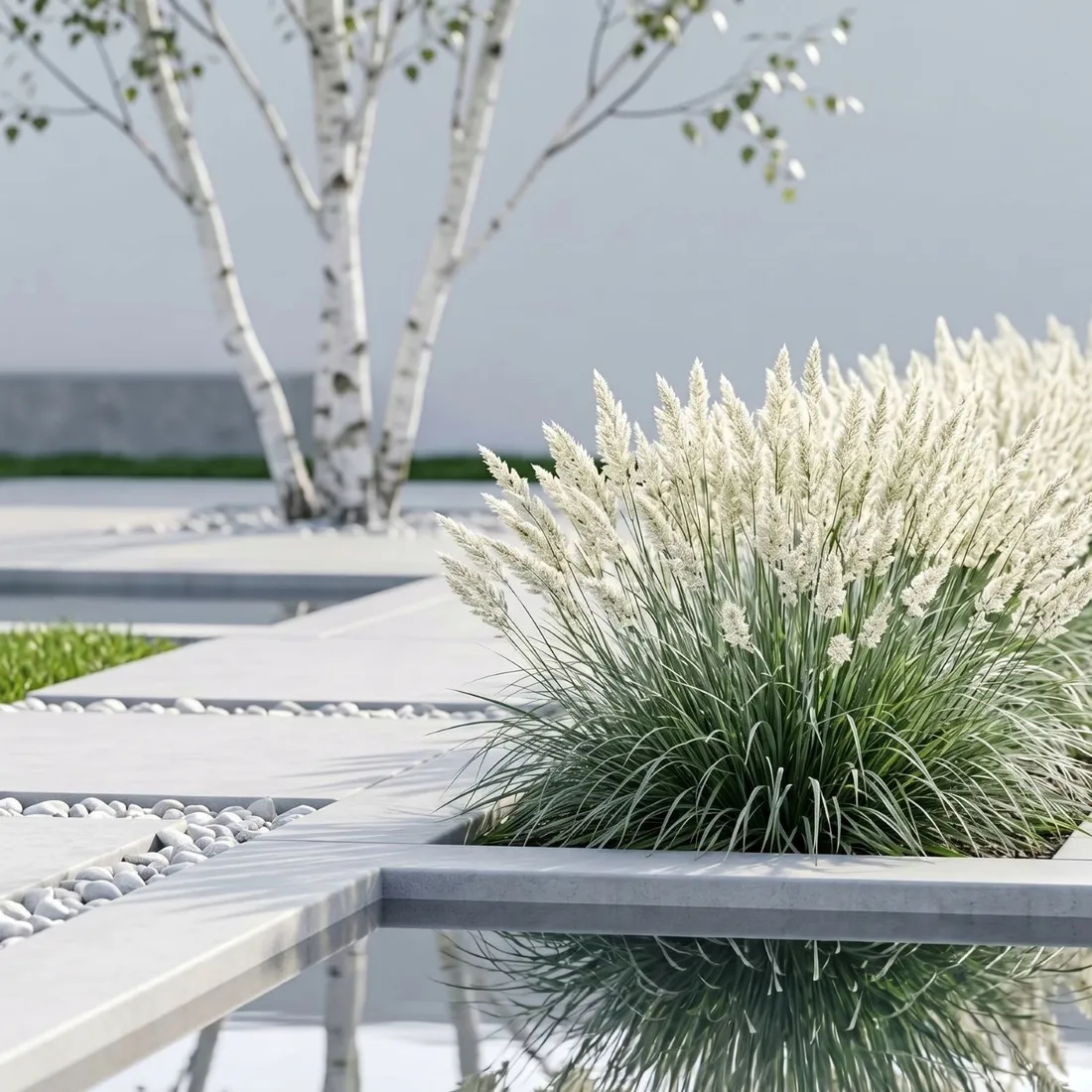 trawa-sesleria-lsniaca-1l