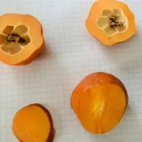 pigwowiec-japonski-orange-tea-2l-styl-ogrod-srodziemnomorski-ogrod-wiejski-ogrod-skalny-ogrod-nowoczesny-ogrod-japonski