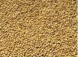 proso-zolte-1kg