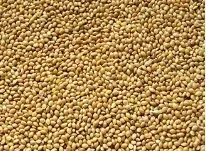 proso-zolte-1kg