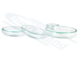 szalka-petriego-fi-100-dol-100-gora-108-h-15-boro-3-3