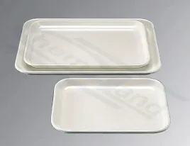 taca-laboratoryjna-z-mf-190-x-150-x-17-mm