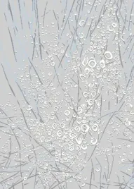 dywan-fd-yoki-frost-jasny-szary-200x280cm-dywany-fd