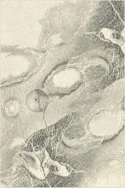 dywan-agnella-isfahan-bellona-perla-200x300cm-brintons-agnella