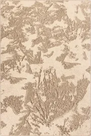 dywan-agnella-ballata-natural-sands-bez-200x300cm-brintons-agnella