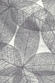 dywan-fd-lush-b-haust-popiel-80x150cm-dywany-fd