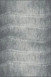 dywan-fd-avanti-tytus-szary-240x330cm-dywany-fd