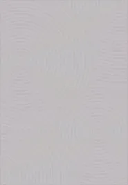 dywan-dywilan-juno-6-grey-pasif-120x170cm-dywilan