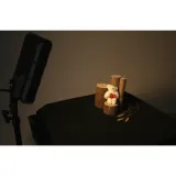 kaiser-pl24-vario-led-desktop-lamp