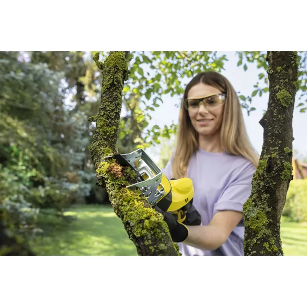 karcher-pgs-4-18-branch-saw