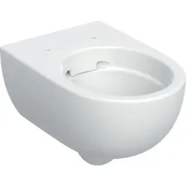 geberit-wiszaca-miska-wc-selnova-premium-lejowa-ukryte-mocowania-rimfree