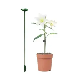 podpora-do-roslin-37cm-stojak-do-roslin-podporka