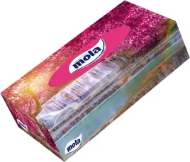 mola-chusteczki-kosmetyczne-120-sztuk-box