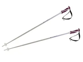 kijki-volkl-phantastick-w-silver-141017-110-cm