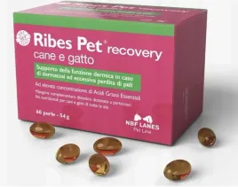 nbf-lanes-ribes-pet-recovery-cane-e-gatto-60-kapsulek