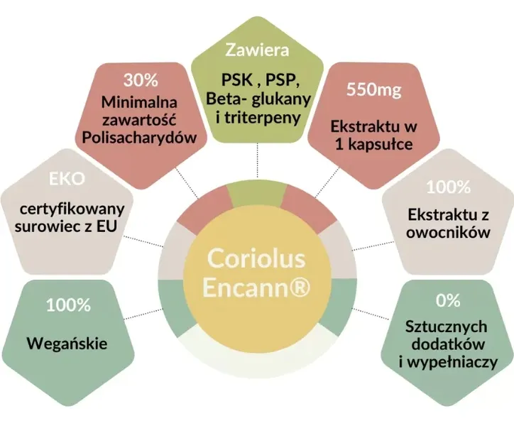 encann-coriolus-90-kapsulek-postac-kapsulki