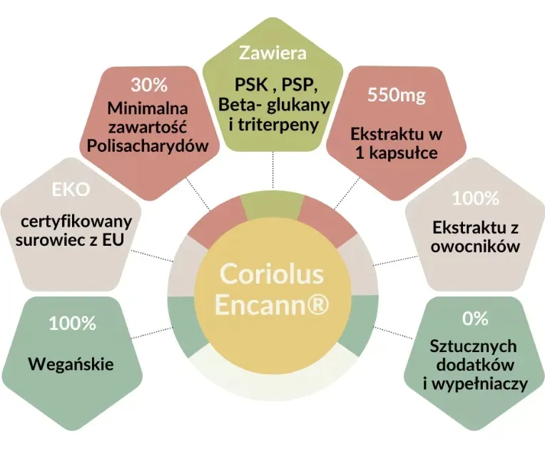 encann-coriolus-90-kapsulek-postac-kapsulki