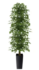 fikus-sztuczny-drzewko-beniamin-sztuczne-gesty-wysoka-jakosc-180-cm