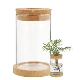 doniczka-przezroczysta-oslonka-na-storczyki-szklana-250ml-do-rozsadzania