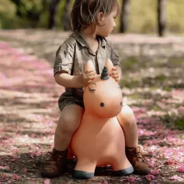 find-that-hippo-skoczek-jednorozec