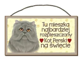 tabliczka-uwaga-pies-zabawna-drewniana-kot-perski-53