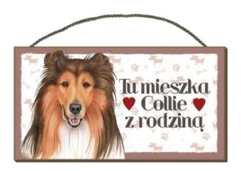 tabliczka-uwaga-pies-zabawna-drewniana-collie-16