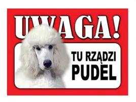 tabliczka-uwaga-pies-zabawna-plastikowa-pudel-33
