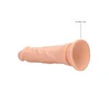 dong-without-testicles-17-cm-rok-wydania-2023