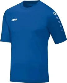 koszulka-sportowa-t-shitr-jako-meska-4233-team-r-xxl
