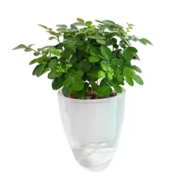 wiszaca-oslonka-kwiatow-doniczka-moderno-105cm-biala-nawadniajaca