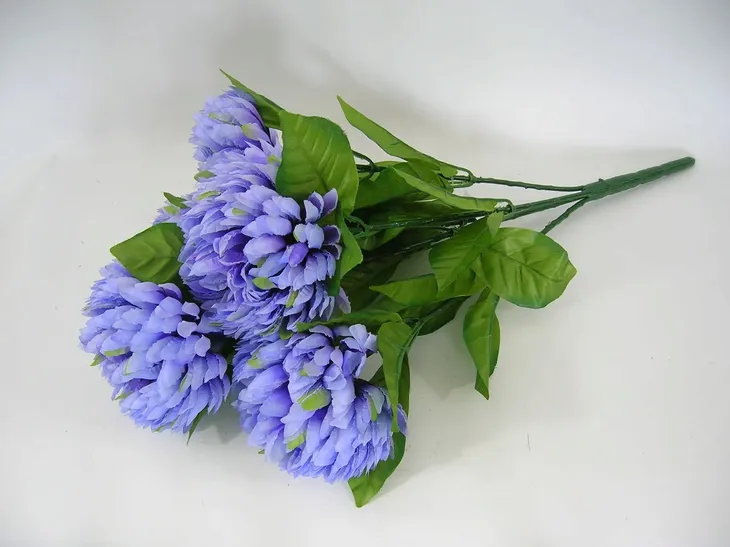 bukiet-niebieskich-chryzantem-najdluzszy-wymiar-60-cm