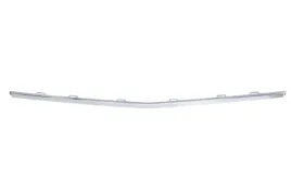 listwa-zderzaka-przod-chrom-bmw-7-e65-e66-e67-01-05-12-09
