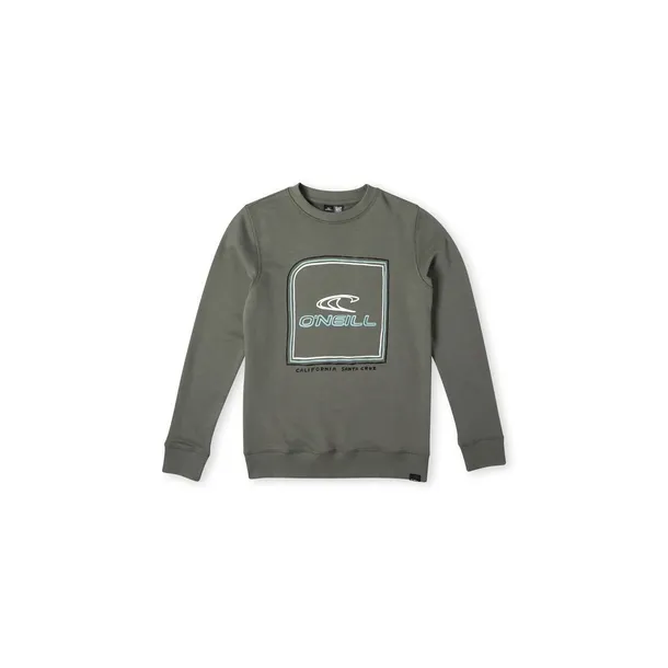 dziecieca-bluza-o-neill-cube-crew