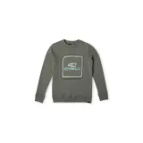 dziecieca-bluza-o-neill-cube-crew