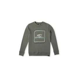 dziecieca-bluza-o-neill-cube-crew