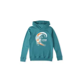 dziecieca-bluza-o-neill-o-riginal-surfer-hoodie