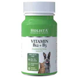 holista-vitamin-b12-b3-90tab