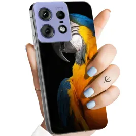 etui-do-motorola-edge-50-pro-wzory-papuga-papuzka-tukan-obudowa-pokrowiec