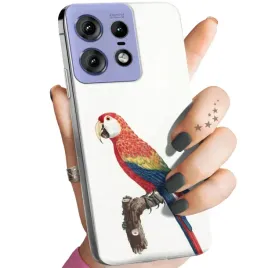 etui-do-motorola-edge-50-pro-wzory-ptaki-ptak-papuga-koliber-obudowa-case