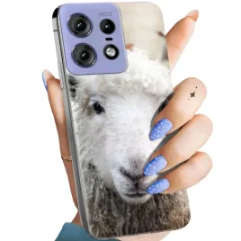 etui-do-motorola-edge-50-pro-wzory-owca-owieczka-baranek-obudowa-pokrowiec