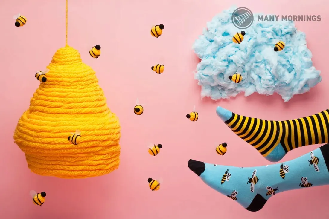 skarpety-bee-bee-many-mornings-43-46