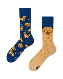 skarpety-golden-boy-many-mornings-39-42