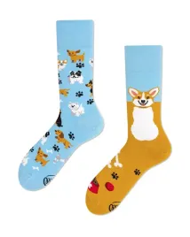 skarpety-playful-dog-many-mornings-39-42