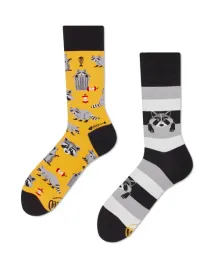 skarpety-raccoon-bandit-many-mornings-35-38