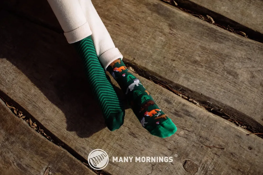 skarpety-scout-memory-many-mornings-43-46