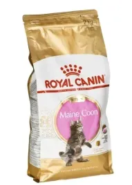 royal-canin-maine-coon-kitten-10kg